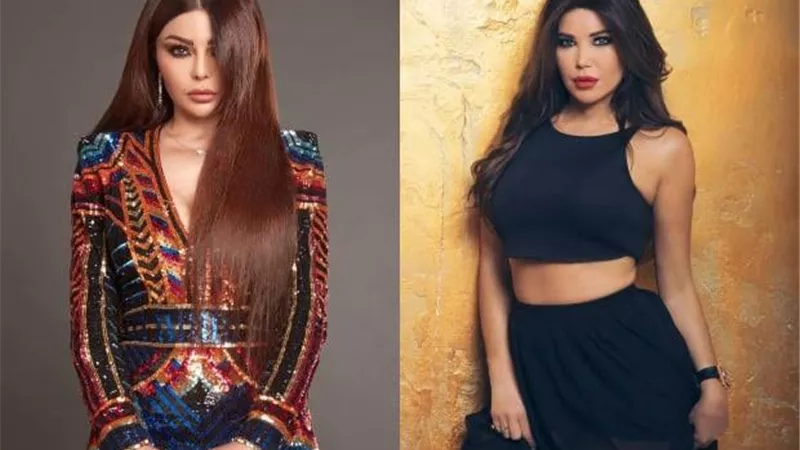 مى حريرى تدافع عن هيفاء وهبى: الوزيرى لا يستحق لقب رجل.. شاهد