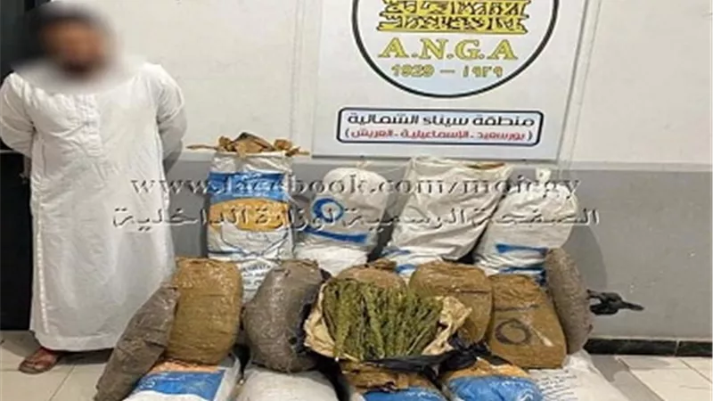 احباط تهريب 150 كيلو بانجو بحوزة عاطل بالاسماعيلية