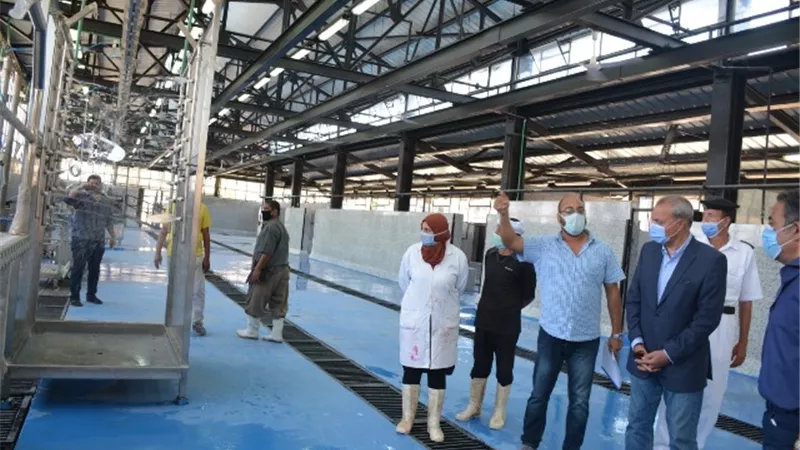 الهجان يتفقد أعمال تطوير مجزر الخانكة بتكلفة 20 مليون جنيه