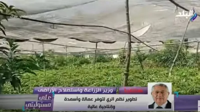 وزير الزراعة: 90 مليار جنيه استثمارات في قطاع الدواجن ومصر تنتج 13 مليار بيضة سنويا