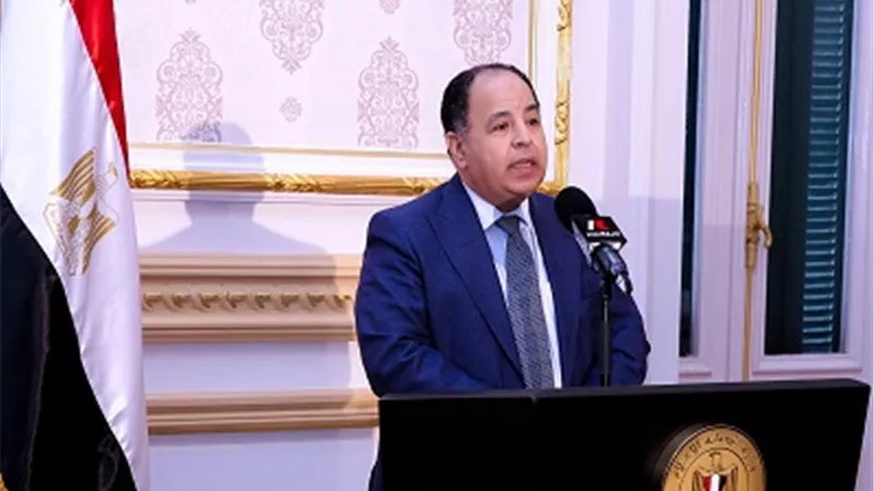 وزير المالية: تيسير رد الضريبة على مشتريات الأجانب تشجيعًا للسياحة