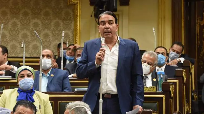 حقوق الانسان بالبرلمان تحذر اردوغان من ممارساته ضد المصريين بليبيا وتؤكد : المصريون بالخارج خط احمر