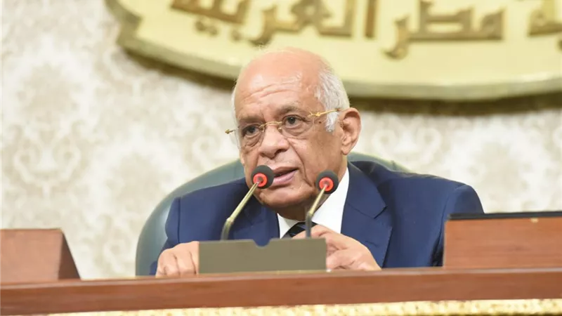 عبد العال للنواب: هناك مشكلة فى قانون مجلس الشيوخ ومستقبل وطن يتمسك بمناقشته
