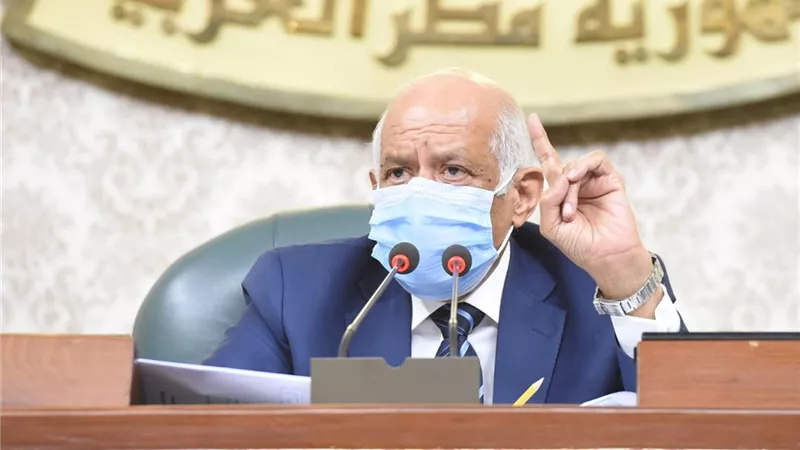 عبد العال: لن يتم اخراج نصوص قوانين الانتخابات الا بالتوافق المجتمعى
