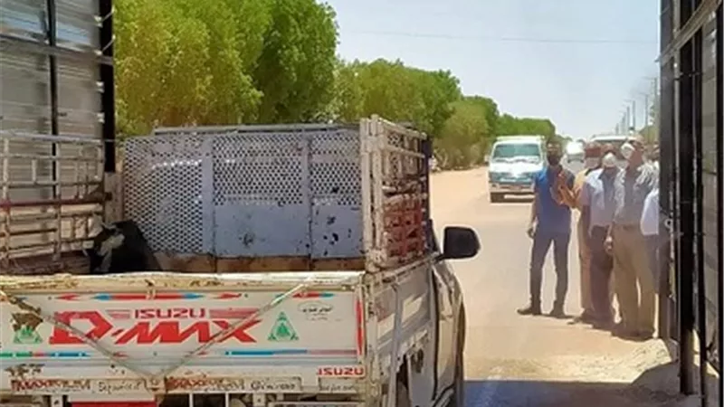 تعقيم لجان الثانوية العامة وتركيب بوابات على مداخل القري بالوادى الجديد