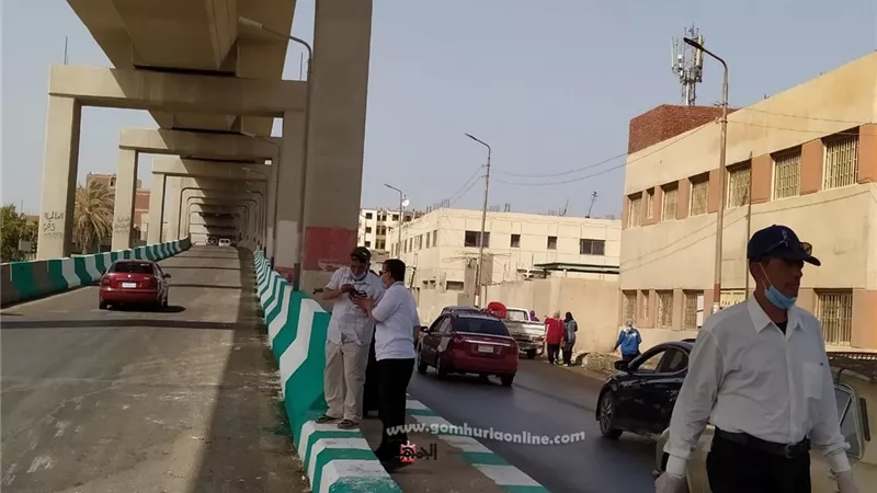 انارة وتجميل كوبرى الصدر بالزقازيق ورفع كفاءة طريق المحور الزراعى والصحراوى صور