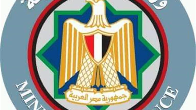 المالية: تقديم الإقرارات الضريبية.. إلكترونياً من أول يناير المقبل