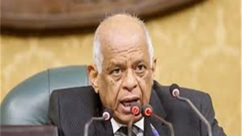 البرلمان يوافق نهائيا على قانون مجلس الشيوخ يتكون من 300عضو و10% للمرأة