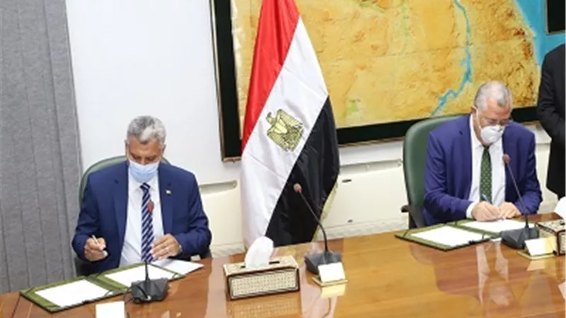 الزراعة: مشروعات تنموية في الإنشطة الزراعية والحيوانية بمحافظات الصعيد