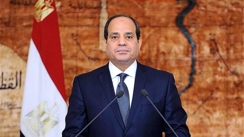 بدراوى: عودة المصريين لأرض الوطن إنجاز تاريخى لـ 