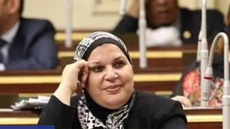 رئيس الغد يشيد بقرار الرئيس وبقدرة اجهزة الدوله علي اعاده المصريين