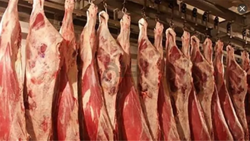 نقيب الفلاحين يعلن إنخفاض أسعار اللحوم خلال الأيام القادمة