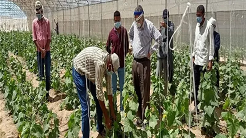 عبد العظيم يتابع مشروع مزرعة ٣٠ يوليو المتكاملة بقرية الوادى