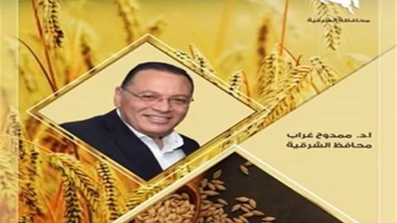 صوامع وشون الشرقية تتلقى ١٣٠ طناً من الذهب الاصفر اليوم