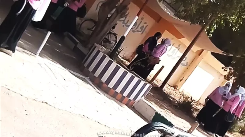 تسجيل حالتى غياب وارتياح عام لسهولة اللغة العربية بالثانوية العامة فى الوادى الجديد