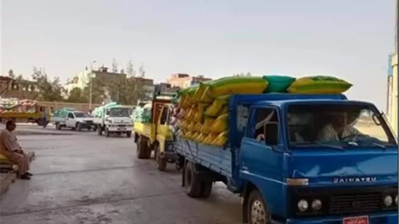 توريد 174980 طن قمح للصوامع بكفرالشيخ
