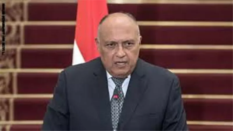 وزير الخارجية: مصر تسعى للتوصل لحل سياسى لازمة ليبيا
