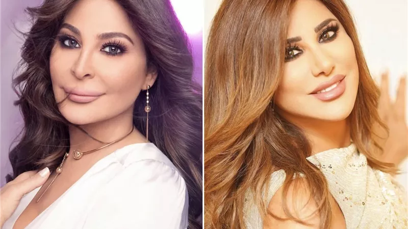 سالم الهندي: هذه رسالتي لـ إليسا ونجوى كرم .. فيديو