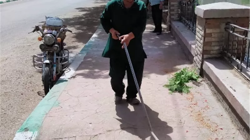 تجميل وتنظيف كورنيش جامعة الزقازيق