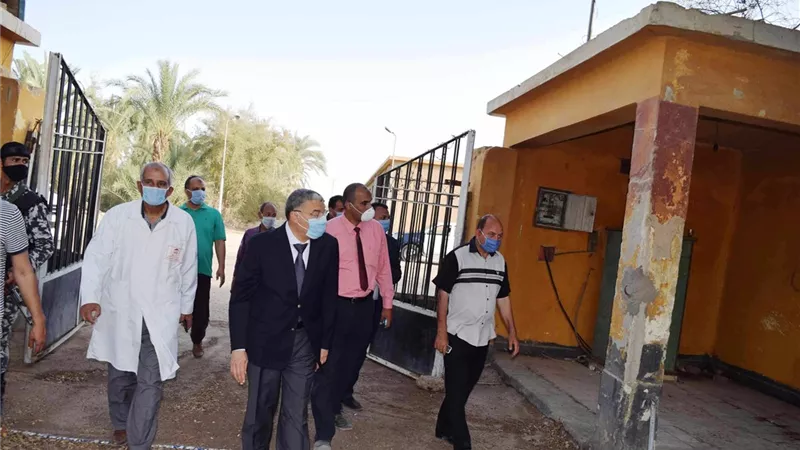 دراسة انشاء مزرعة لتربية الماشية بسمالوط