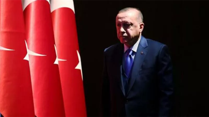 وزير خارجية تركيا الأسبق يفضح أردوغان ويكشف سر أطماعه في ليبيا .. فيديو