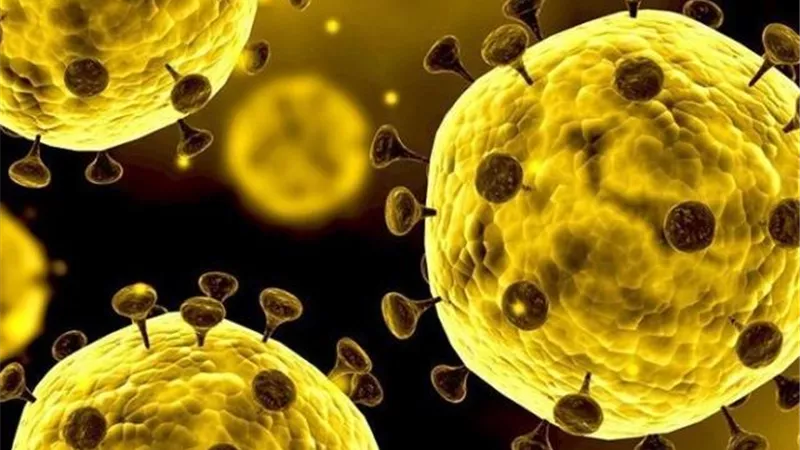 لماذا يسبب كورونا فقدان حاسة الشم؟ العلماء يجيبون