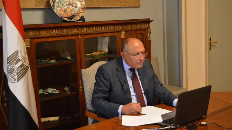 شكري يؤكد على عدم تواني مصر عن اتخاذ كافة الاجراءات لمنع وقوع ليبيا تحت سيطرة الجماعات الإرهابية والميليشيات المسلحة
