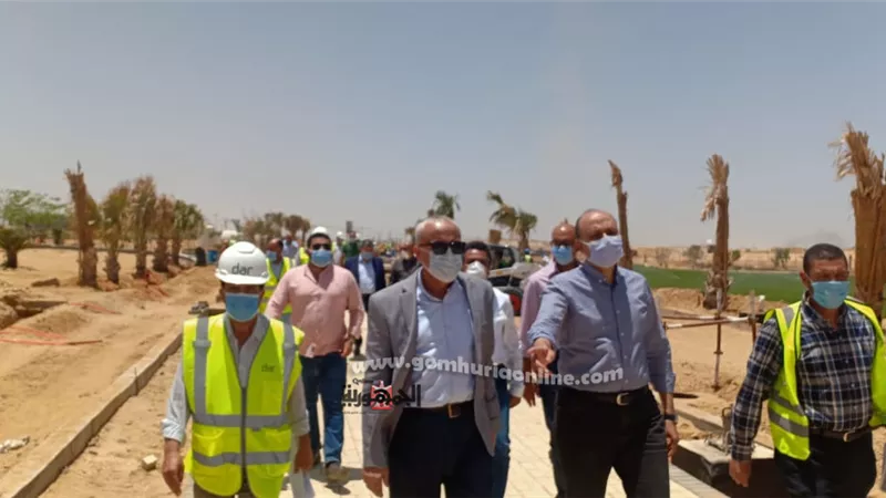 نائب رئيس 