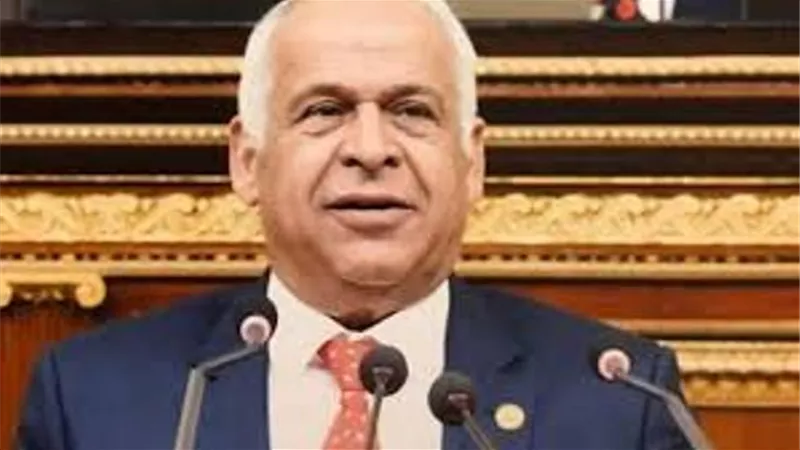 فرج عامر يطالب الحكومة بالشفافية والعدالة فى تخصيص الأراضى للمستثمرين الصناعيين