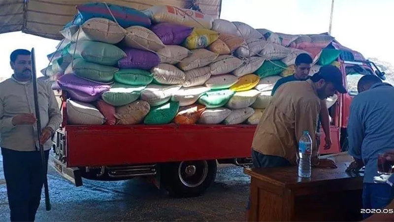 توريد 175070 طن قمح بكفرالشيخ