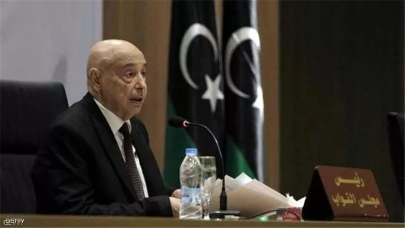 رئيس البرلمان الليبي: سنحتاج دعم القوات المسلحة المصرية لمكافحة الإرهاب والمرتزقة