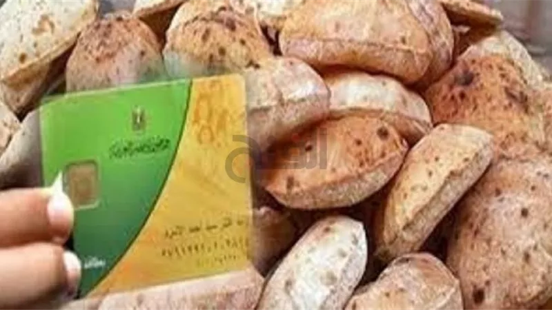 التموين توضح حقيقة رفع سعر رغيف الخبز المدعم بعد تطبيق منظومة بيع القمح النقدي الجديدة بدايةً من يوليو القادم
