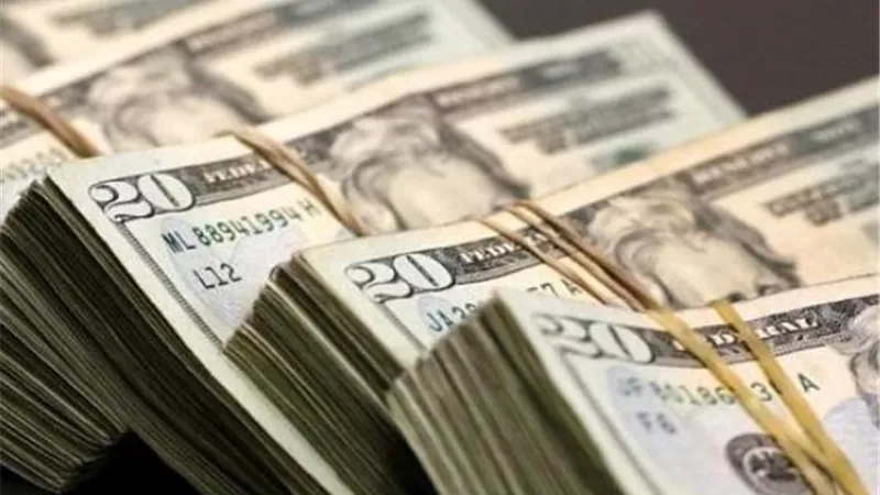دعم مليون متوفى ..خطأ يشير لخلل كبير فى قواعد البيانات الأمريكية
