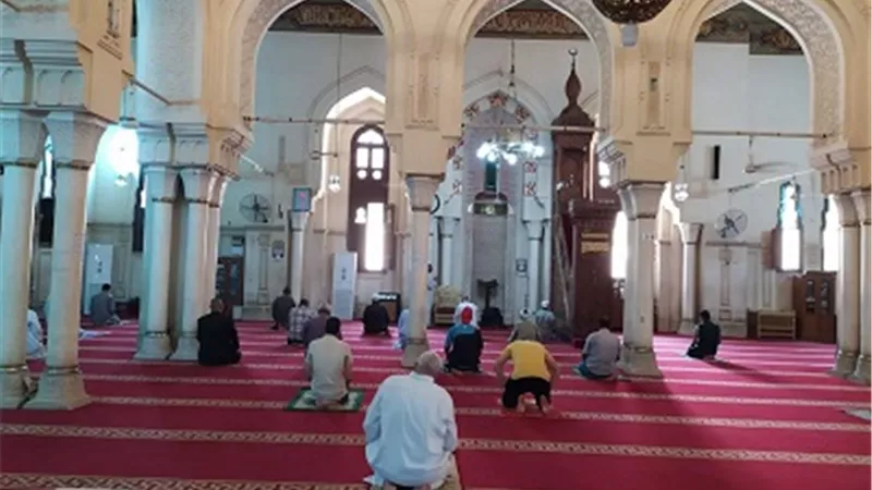فتح ٣٧١٧ مسجداً فى قنا