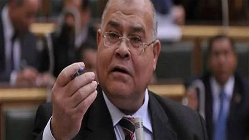 الشهابى : القمة الافريقية المصغرة انتصار للرؤية المصرية