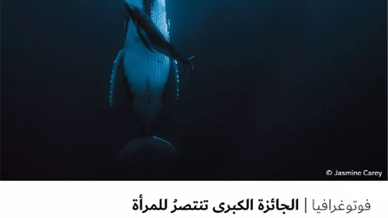 الجائزة الكبرى تنتصرُ للمرأة