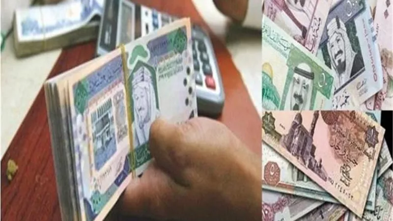 استقرار سعر الريال السعودى أمام الجنيه المصرى.. اليوم