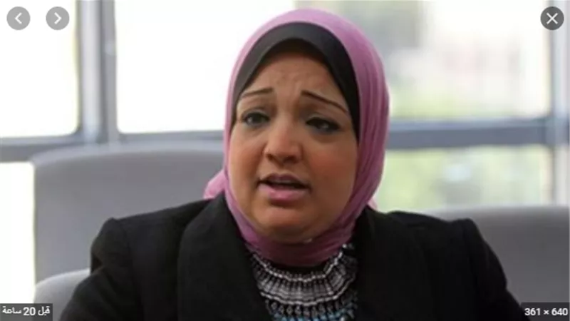 الحزب العربي أحدث الأحزاب المُمثلة في البرلمان بعد ضم النائبة مي محمود