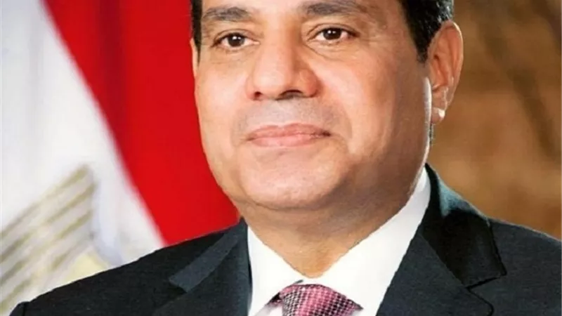 محافظ الأقصر يهنئ الرئيس السيسى بذكرى 30 يونيو