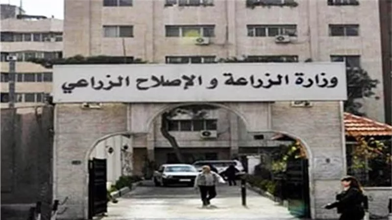 الزراعة تصدر نشرة بالتوصيات الفنية لمزارعي التين خلال شهر يوليو