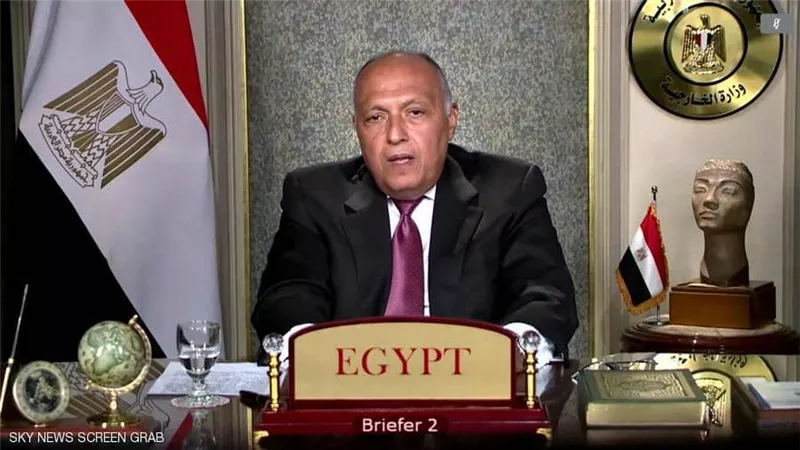 سامح شكري: إذا وقع مكروه لـ