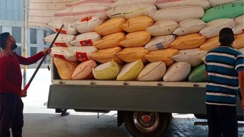 استلام 175119 طن قمح من المزارعين للصوامع بمحافظة كفرالشيخ.. بالصور