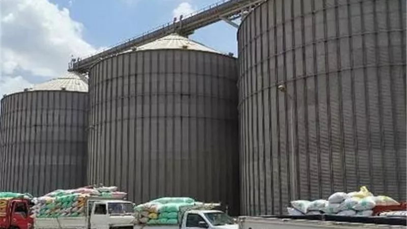 توريد ٦٦٥الف طنا من القمح لشون وصوامع الشرقية