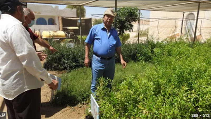 الزراعة :نائب رئيس مركز بحوث الصحراء يتفقد أنشطة التنمية المستدامة بمحافظة مطروح
