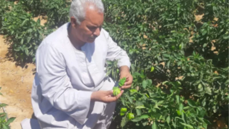 نقيب عام الفلاحين 