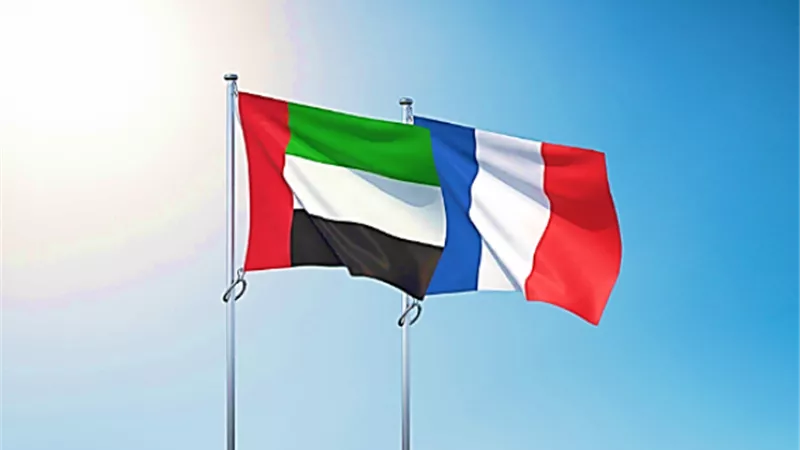 الإمارات وفرنسا تؤكدان دعمهما للمبادرة المصرية لحل الأزمة الليبية ورفضهما للتدخل التركى