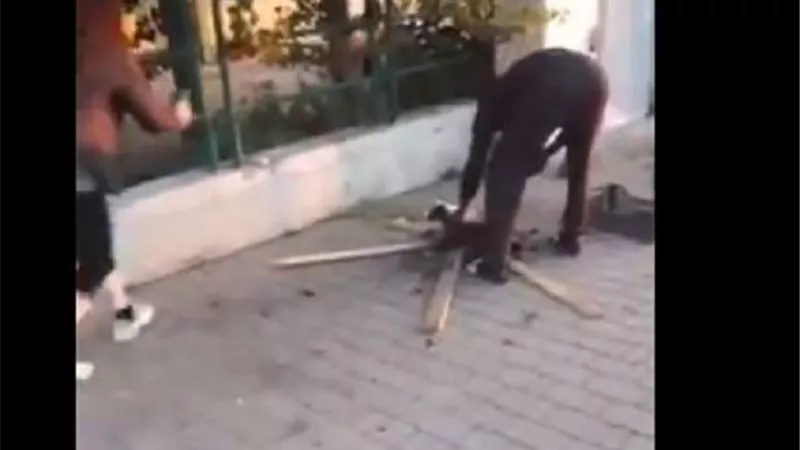 شاهد ... غضب الماره على رجل يشوى قطة فى شوارع ايطاليا