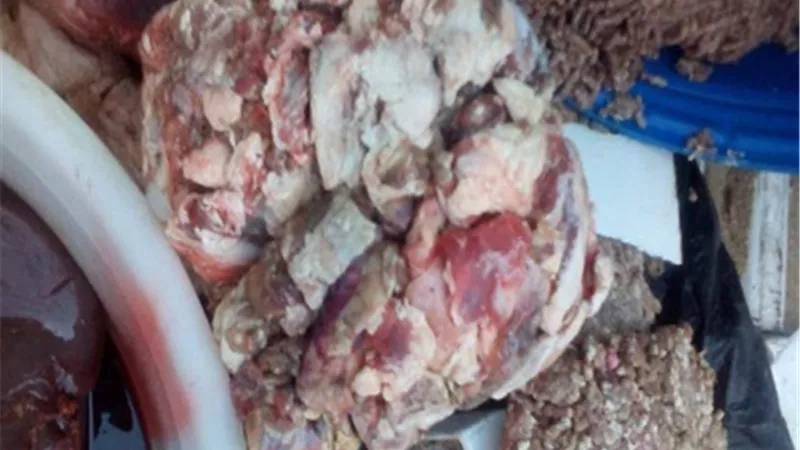 بيطري الشرقية يحرر 53 محضر مخالفة ويضبط 3 أطنان لحوم دهون مخالفة