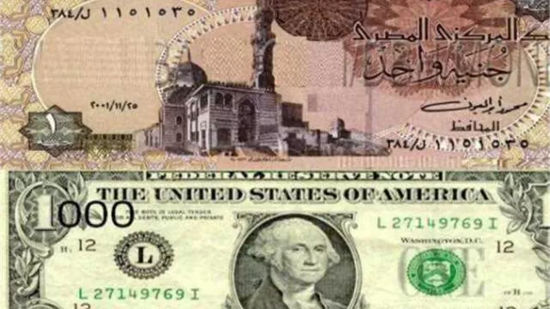 تراجع سعر الدولار أمام الجنية المصرى.. اليوم