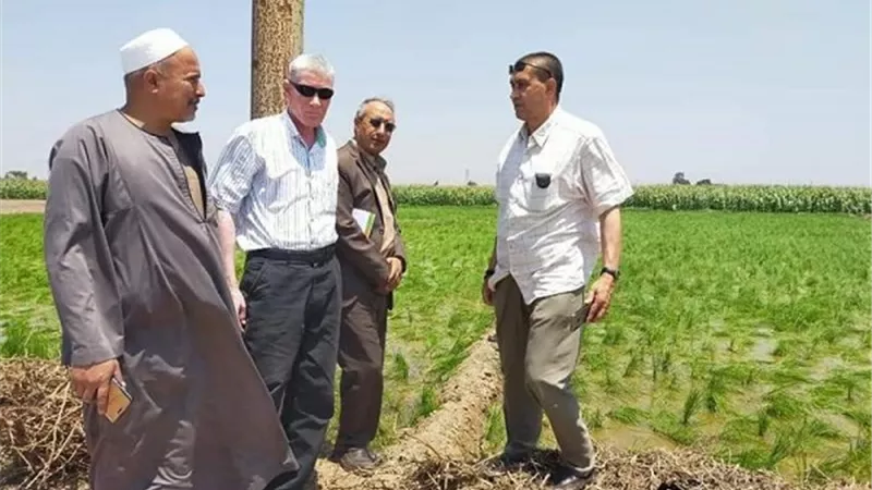الشرقية تطور أنظمة الري لترشيد إستهلاك المياه وتحسين جودة الأراضي الزراعية